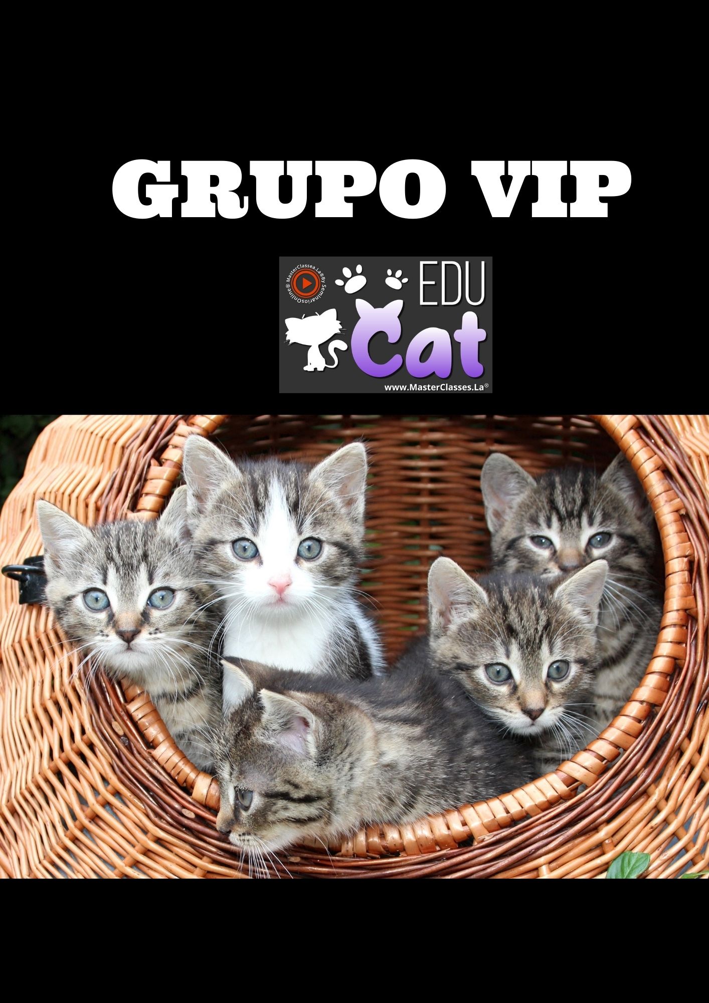 BONO 2 GRUPO DE FACEBOOK